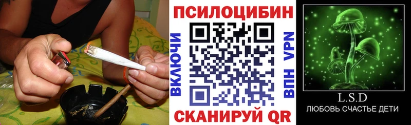 Псилоцибиновые грибы ЛСД  Купить где  Искитим 
