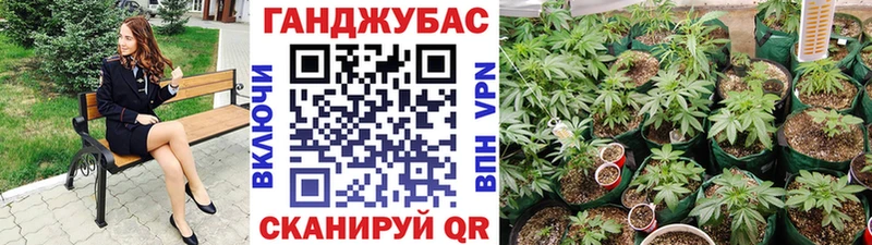 Купить закладки  Искитим  Бошки Шишки LSD WEED 